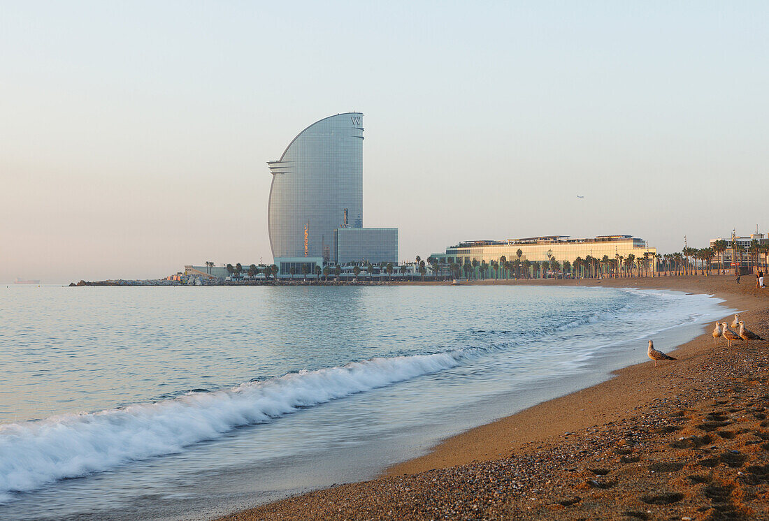 Platja de Barceloneta, Strand, Hotel W, Barceloneta, Barcelona, Katalonien, Spanien, Europa