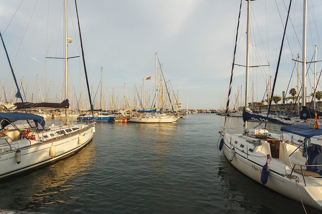 Port Olimpic, Yachthafen, Arts Hotel, Vila Olimpica, Barcelona, Catalunya, Catalonia, Spain