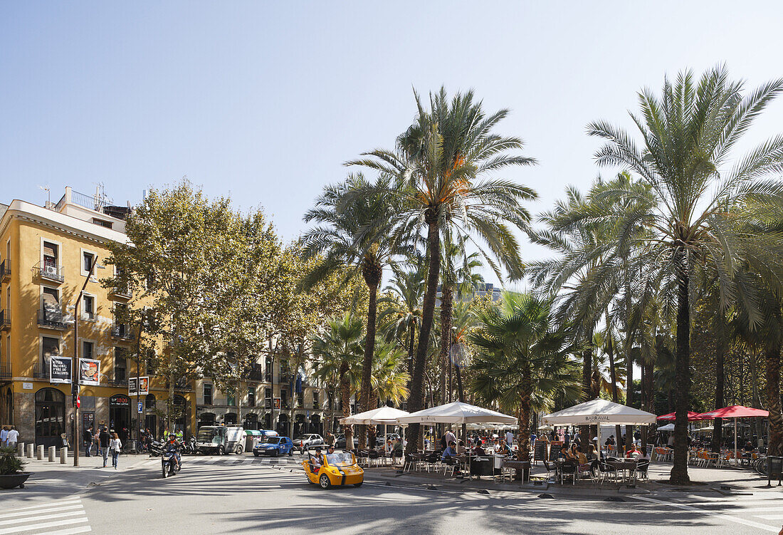 Rambla del Raval, El Raval, Ciutat Vella, Altstadt, Barcelona, Katalonien, Spanien, Europa