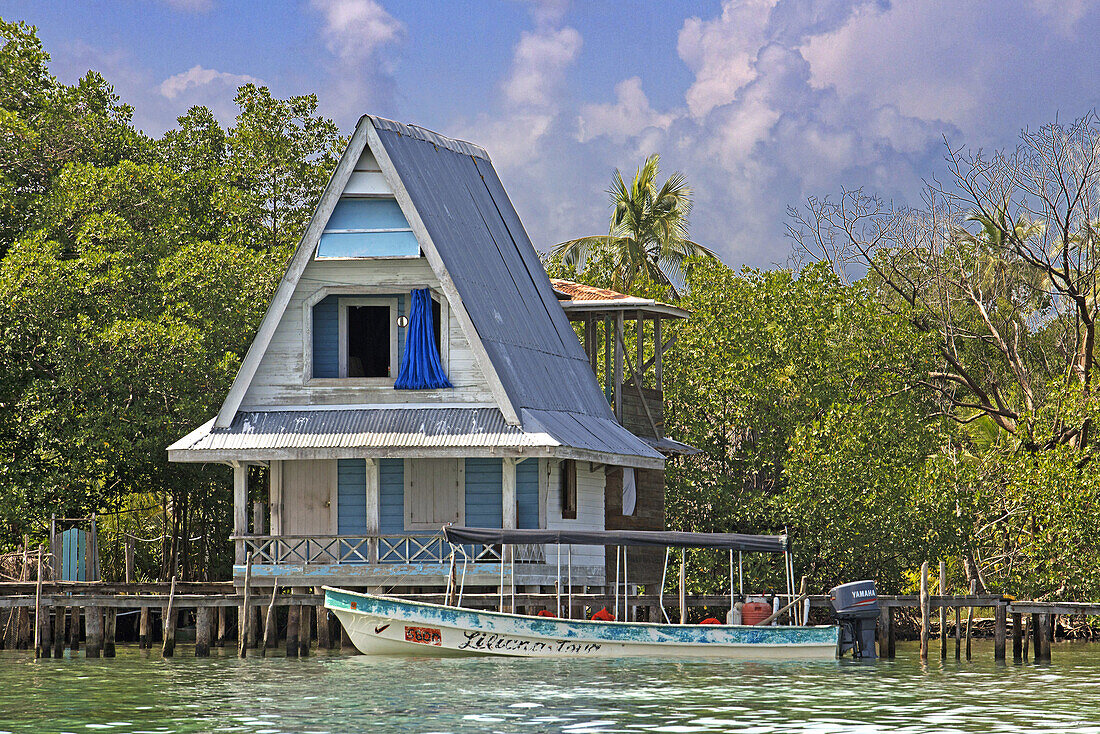 "House on stilts over water with solar panels and dense tropical vegetation in background, Bocas del Toro, Caribbean sea, Panama. Tropical cabin over the Caribbean sea in the archipelago of Bocas del Toro, Panama. This is the ideal moment to visit these i