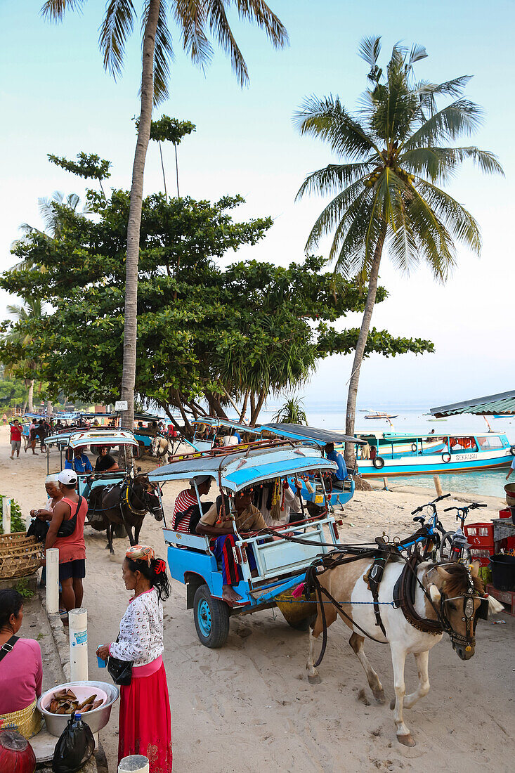 Horse-drawn carriages at beach, Gili Air, Lombok, Indonesia