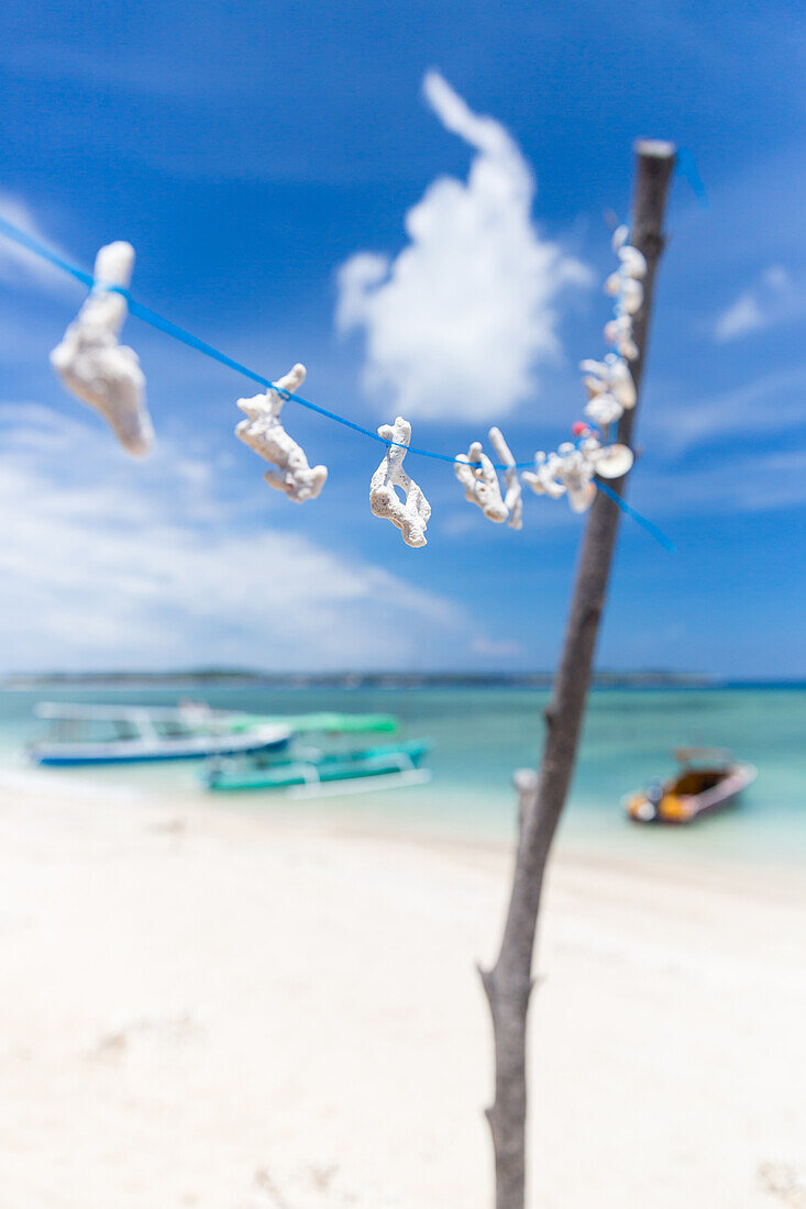 Wind chime of corals and shells at white sandy beach, Gili Air, Lombok, Indonesia