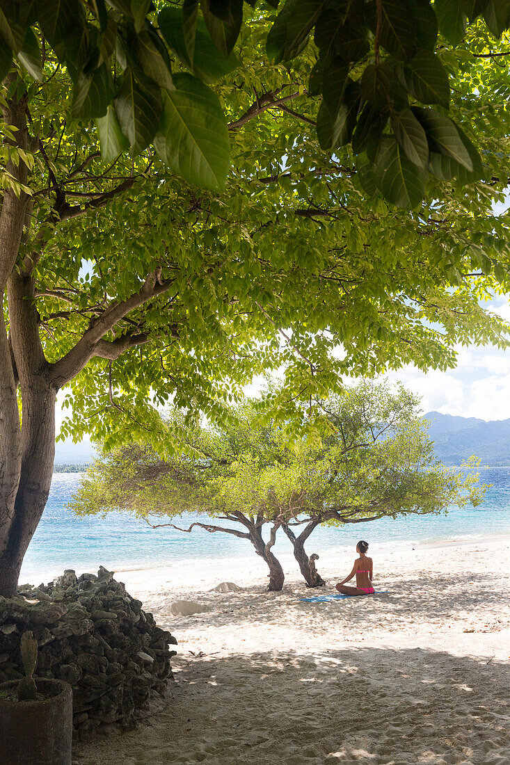 Woman sitting under tree at beach, Gili Meno, Lombok, Indonesia