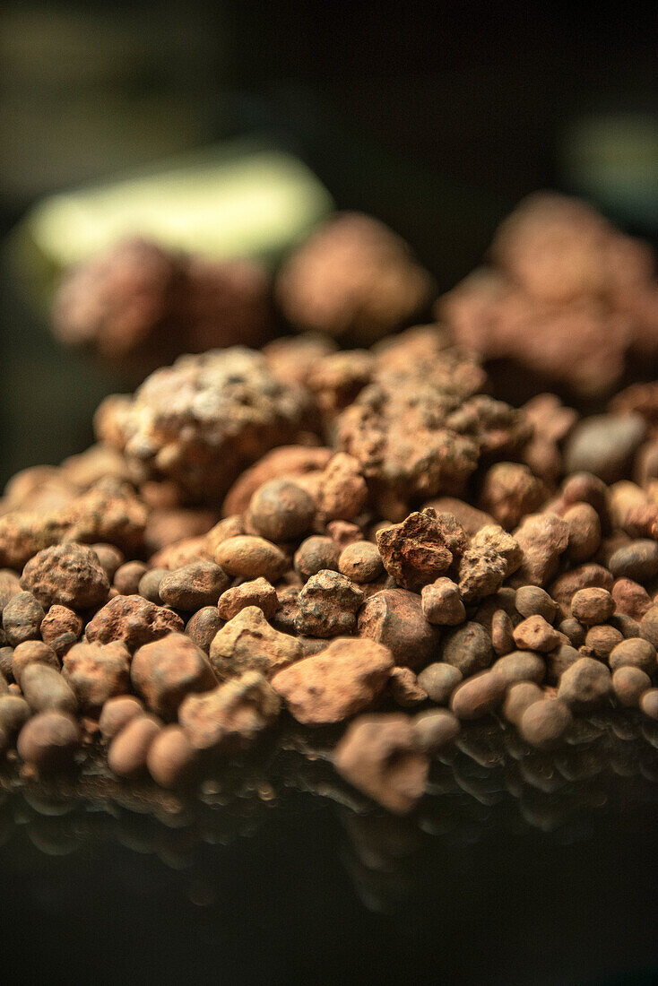 detail of ore which was mined in the mining pit Tiefer Stollen, Aalen, Ostalb province, Swabian Alb, Baden-Wuerttemberg, Germany