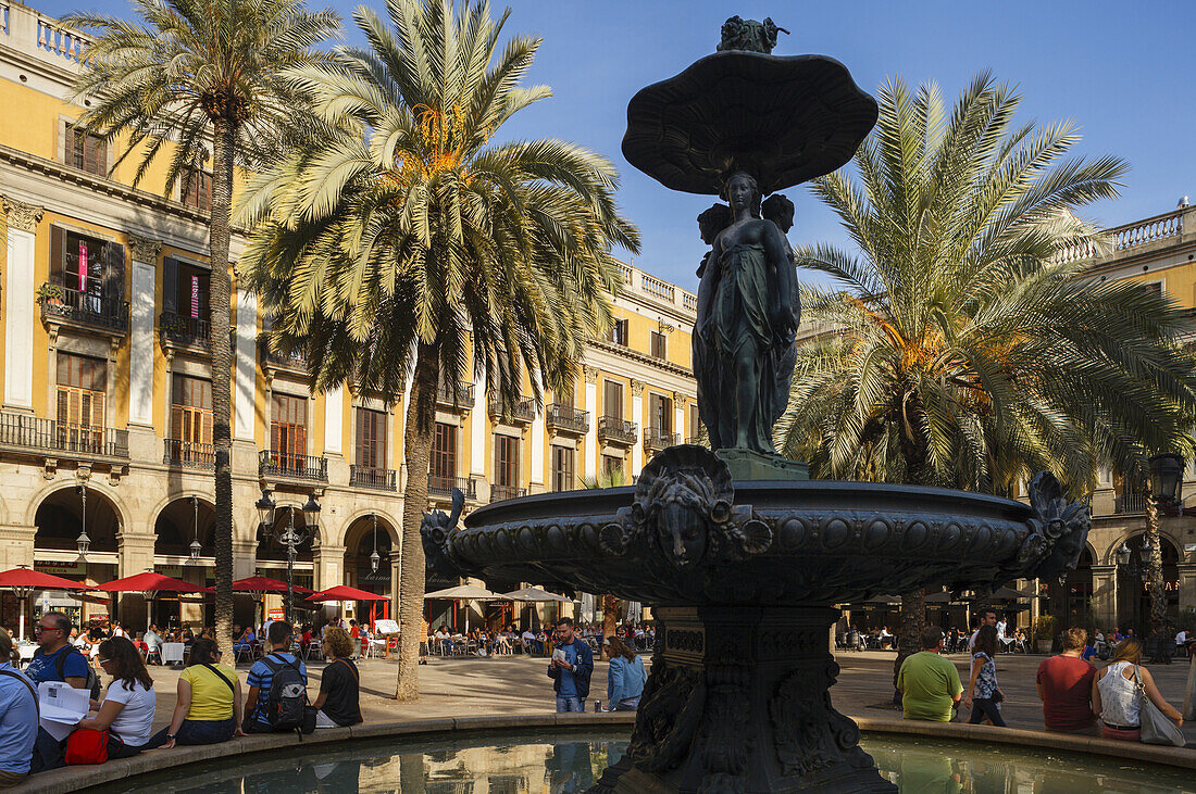 Placa Reial, square with palm trees, fountain, Barri Gotic, Gothic Quarter, Ciutat Vella, old town, city, Barcelona, Catalunya, Catalonia, Spain, Europa