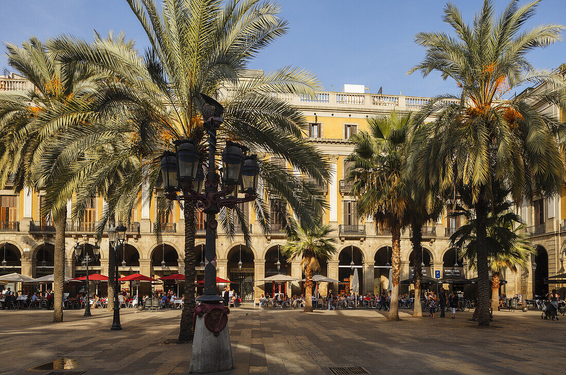 Placa Reial, square with palm trees, latern, Barri Gotic, Gothic Quarter, Ciutat Vella, old town, city, Barcelona, Catalunya, Catalonia, Spain, Europa
