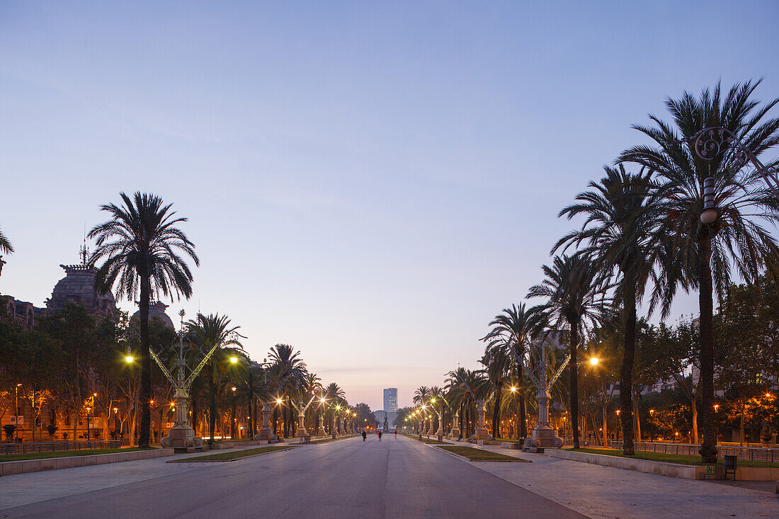 Passeig Lluis Companys, Palmen-Allee, Zugang zur Weltausstellung 1888, Parc de la Ciutadella, Barcelona, Katalonien, Spanien, Europa