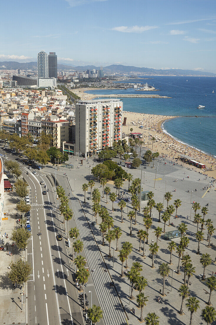 view across Placa del Mar with palm trees, Platja de Barceloneta, beach, Arts Hotel and Torre Mapfre in the background, Barceloneta quarter, Barcelona, Catalunya, Catalonia, Spain, Europe