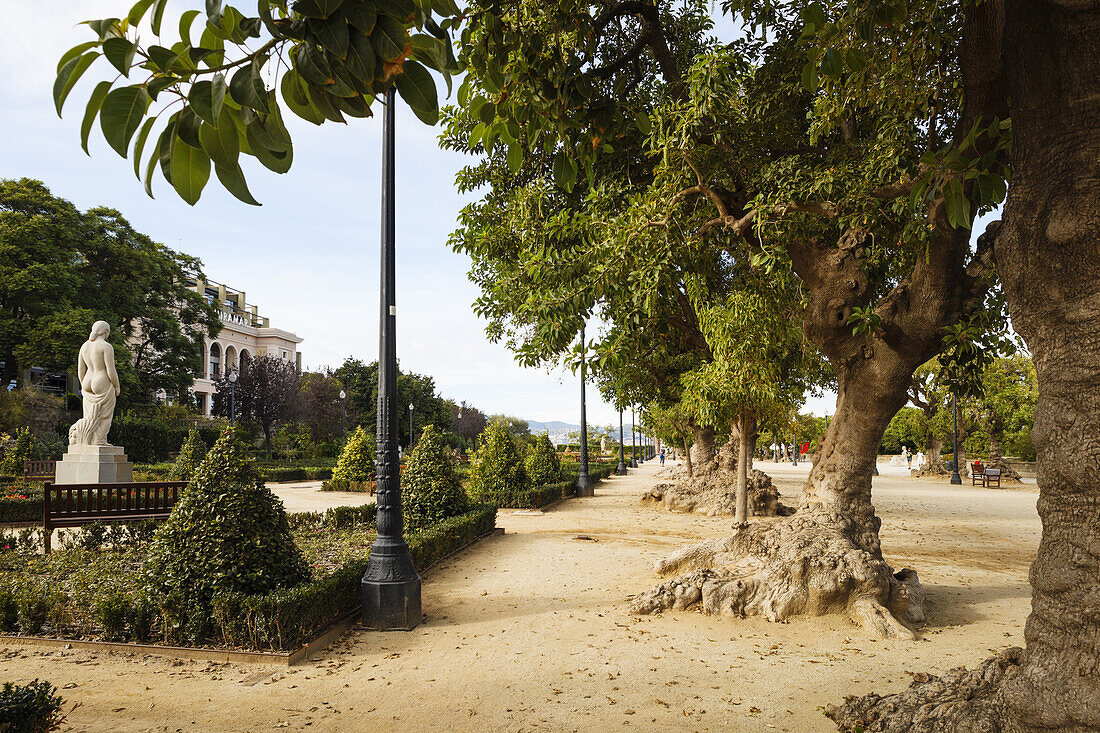 Placa de la Armada, Skulptur Fertilidad von Josep Clara, Hotel Miramar, Jardins de Miramar, trees, lat. Phytolacca dioica,Montjuic, Barcelona, Katalonien, Spanien, Europa