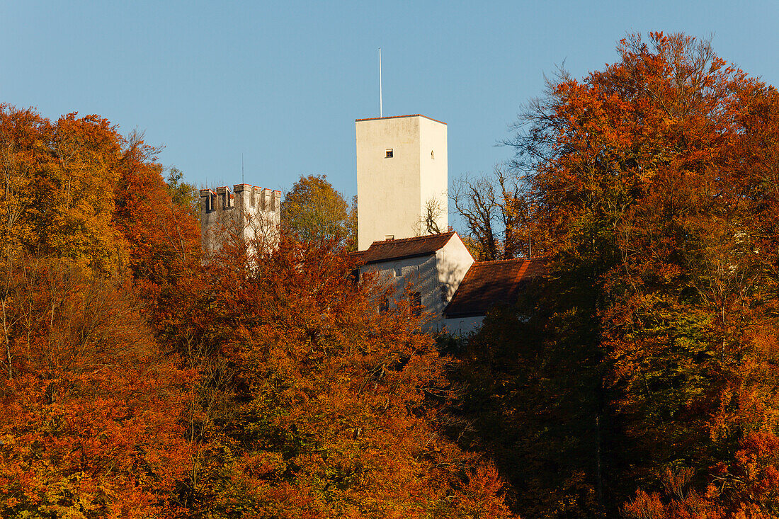 Gruenwald Castle, 13th. century, and beech trees in Autumn, indian summer, Isar valley in Autumn, Gruenwald, district Munich, Bavarian alpine foreland, Upper Bavaria, Bavaria, Germany, Europe
