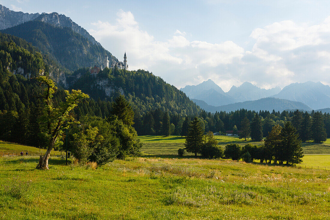 Wanderweg zu Schloß Neuschwanstein, 19.Jhd., Königsschloss von König Ludwig II., Hohenschwangau, bei Füssen, Allgäuer Alpen, Berge, Landkreis Ostallgäu, Allgäu, Bayern, Deutschland, Europa