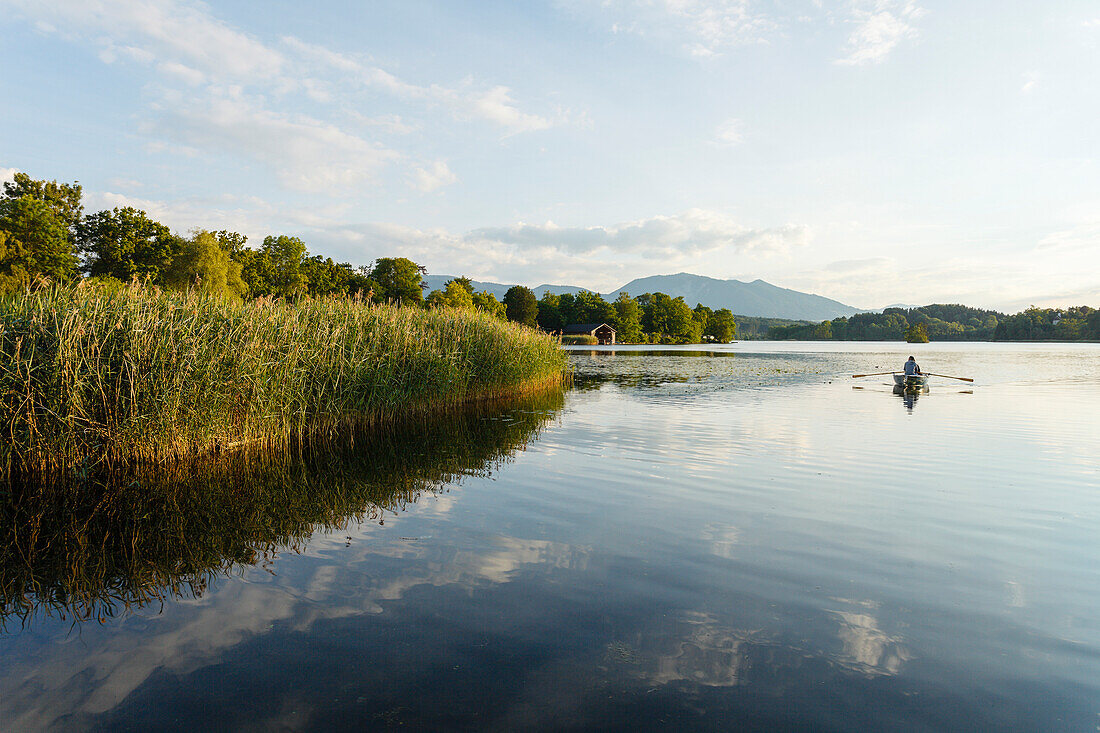 Ruderboot auf dem Staffelsee, Insel Wörth, Seehausen am Staffelsee, bei Murnau, Blaues Land, Landkreis Garmisch-Partenkirchen, Bayerisches Voralpenland, Oberbayern, Bayern, Deutschland, Europa