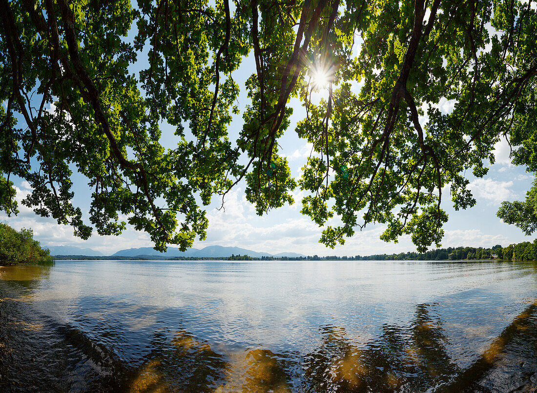 Lake Staffelsee with view to the mountains, near Uffing, Blue Land, district Garmisch-Partenkirchen, Bavarian alpine foreland, Upper Bavaria, Bavaria, Germany, Europe