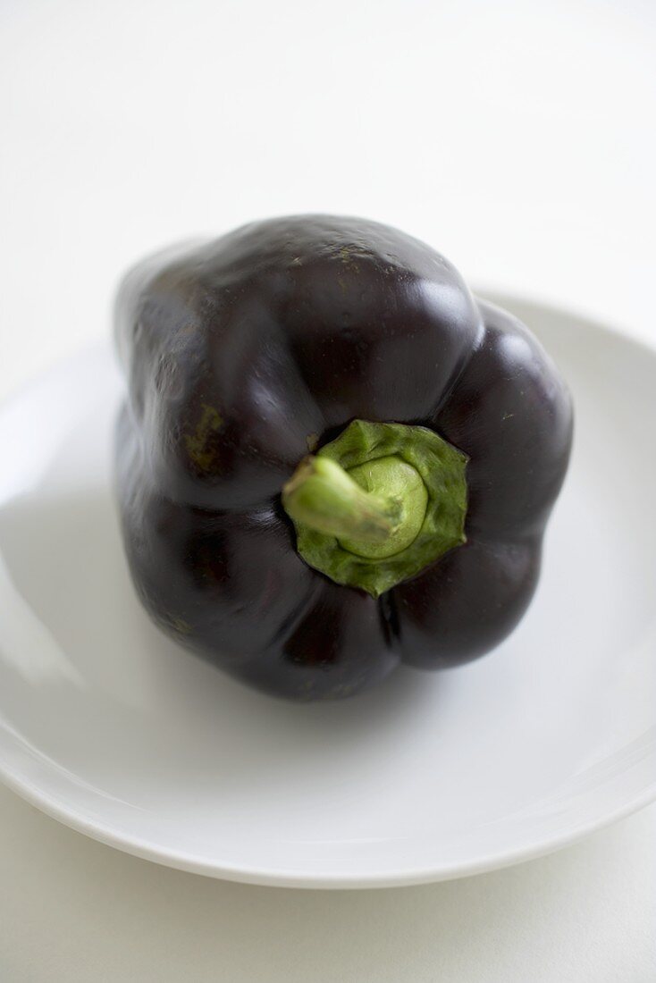 Organic Purple Bell Pepper