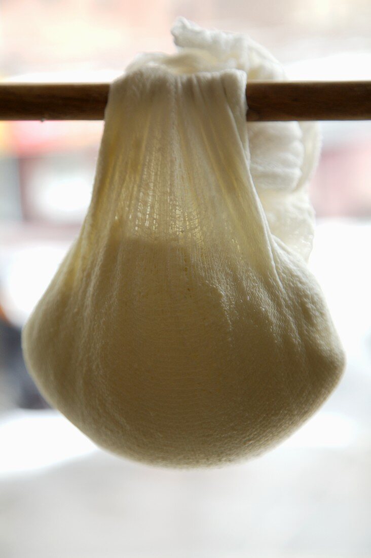 Making Paneer, Hanging Paneer in Cheese Cloth