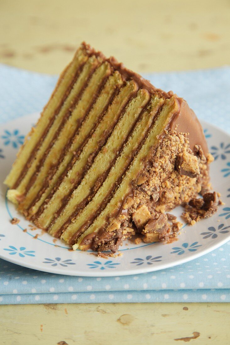 Slice of Chocolate Peanut Butter Eight Layer Cake on a Plate