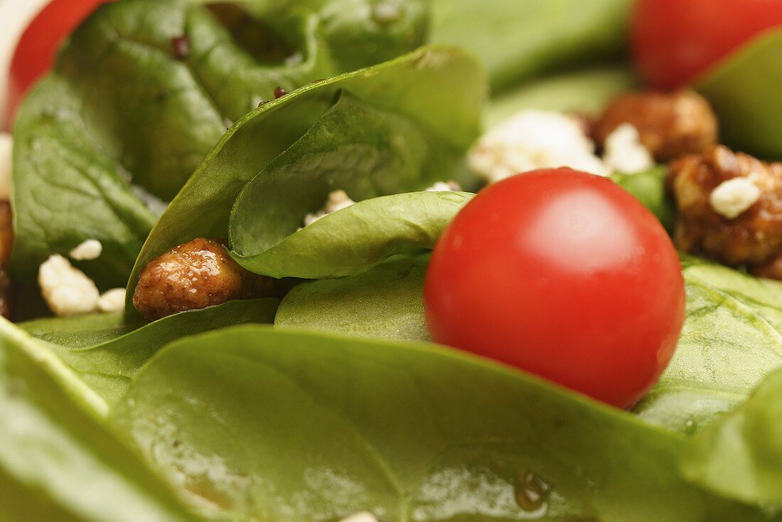 Close Up of a Salad with Cherry Tomato
