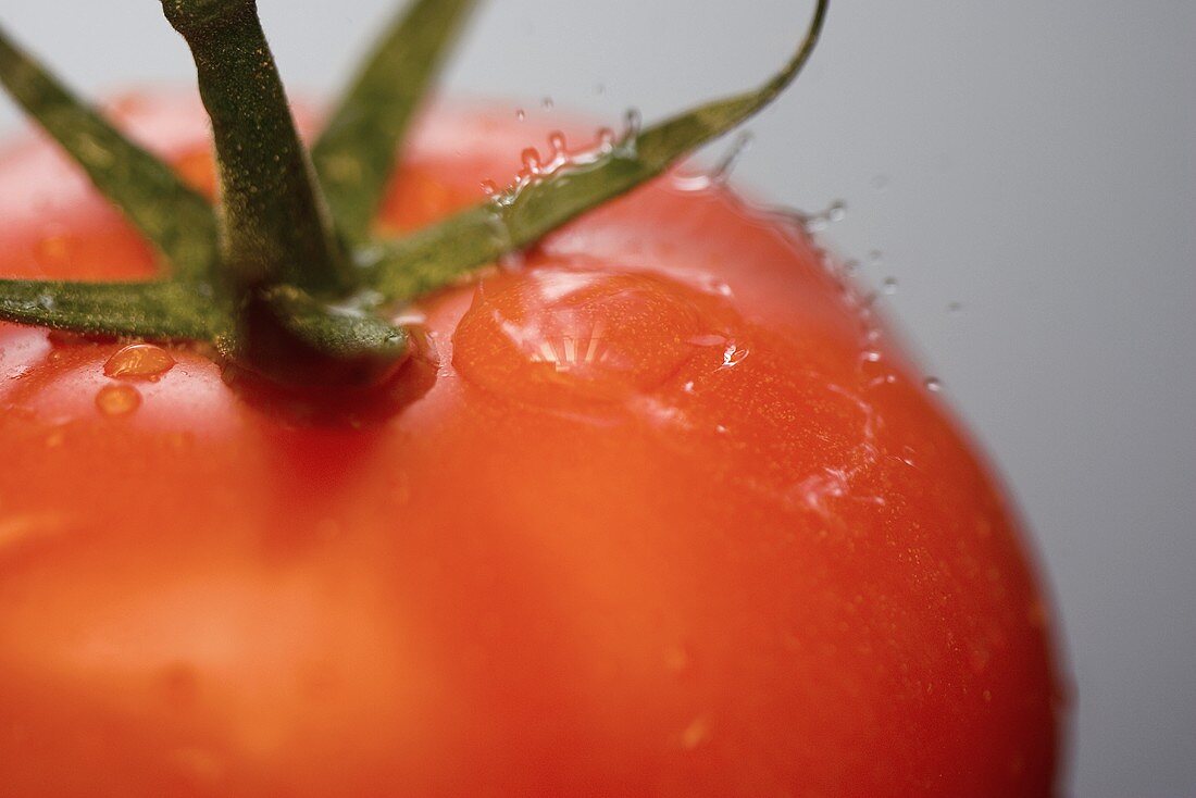 Close Up of a Drop of Water Splashing on a Tomato