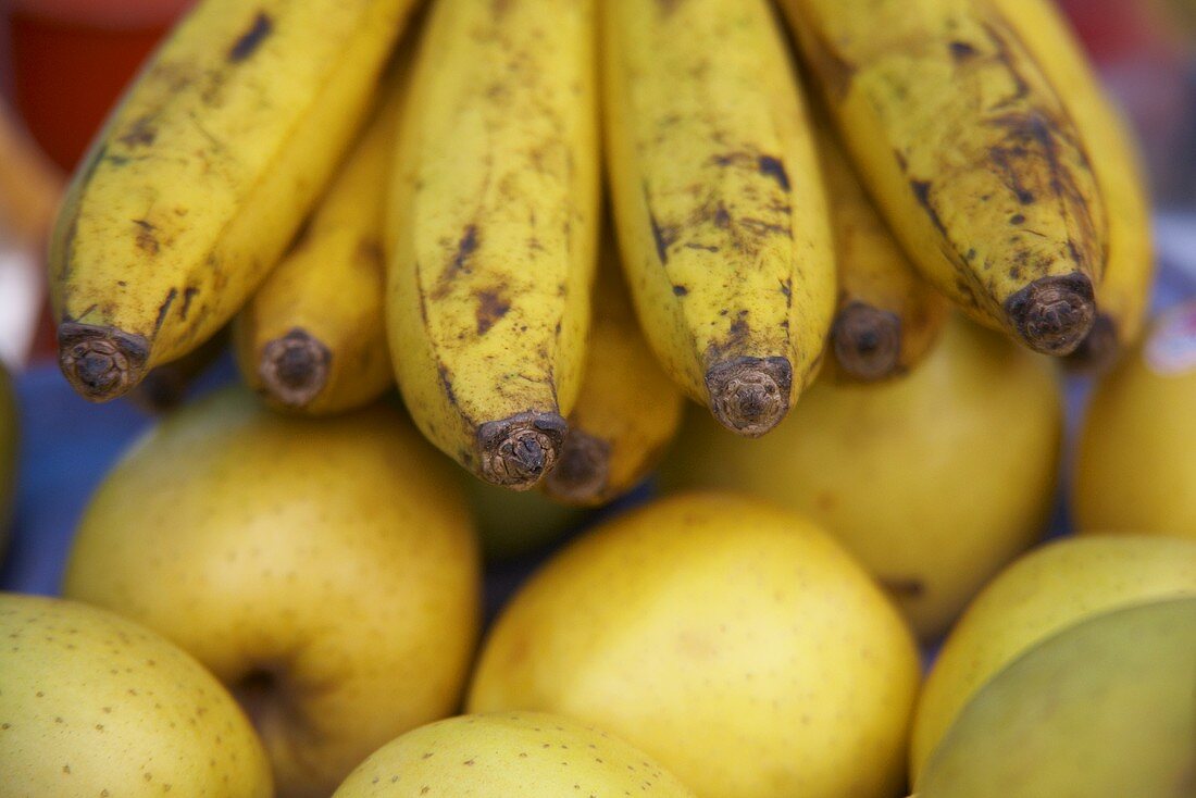 Ein Bund reife Bananen auf gelben Äpfeln liegend