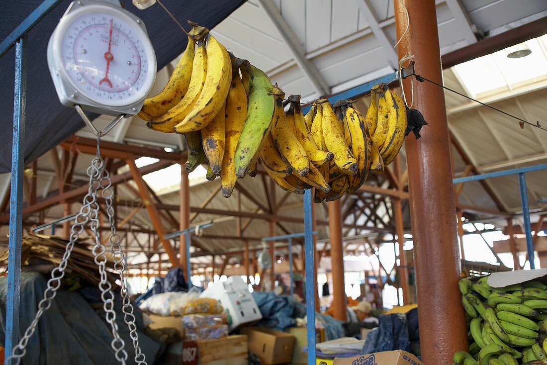 Mehrere Bündel Bananen hängen neben einer Waage auf einem Markt