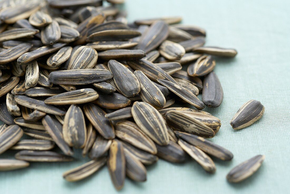 Pile of Sunflower Seeds; Close Up