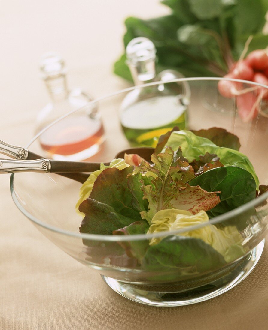 Gemischter Blattsalat in Glasschüssel, Essig und Öl
