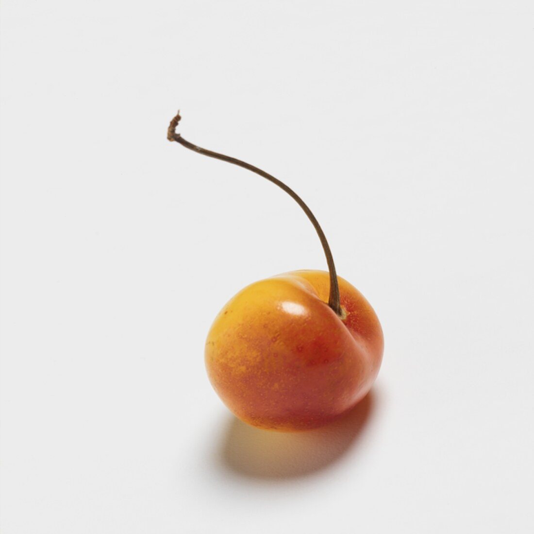 A Single Ranier Cherry