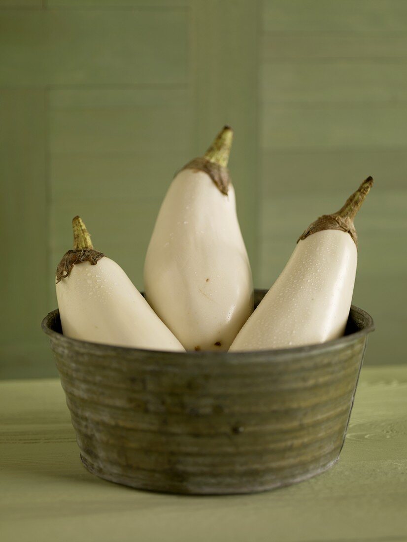 Three White Eggplant in a Bowl