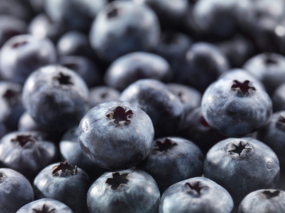 Many Fresh Blueberries, Close Up