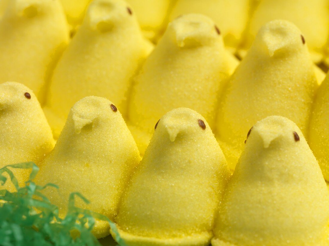 Gelbe Marshmallow-Küken in Reihen