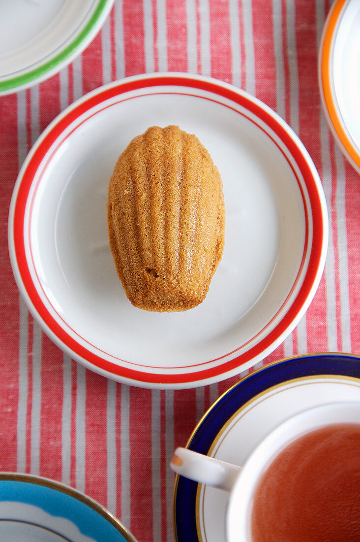 Madeleine auf Teller neben Tasse Tee