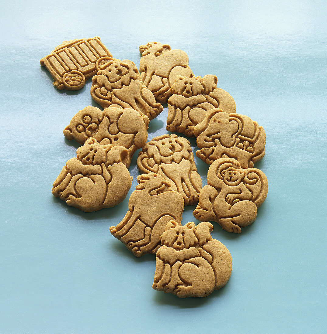 Assorted Animal Cookies on Blue