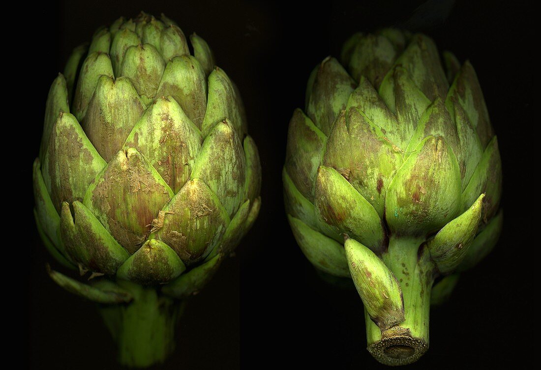 Two Artichokes