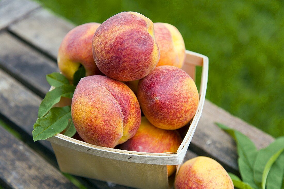 Basket of Fresh Peaches; Outdoors