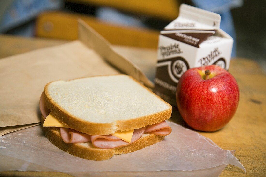 Lunch für die Schule: Sandwich, Apfel, Schokomilch