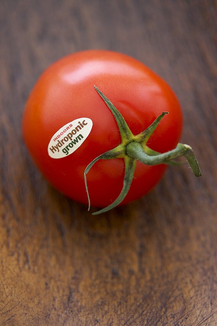 Eine Tomate aus Hydrokulturanbau