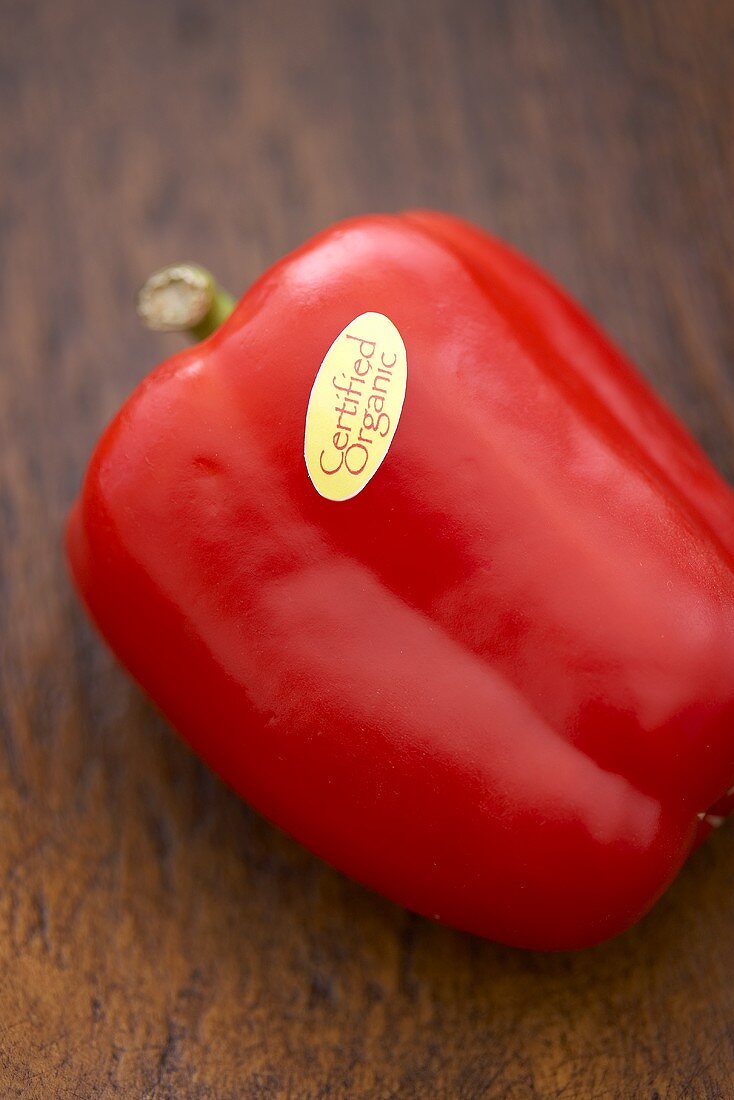 Eine rote Paprika aus biologischem Anbau