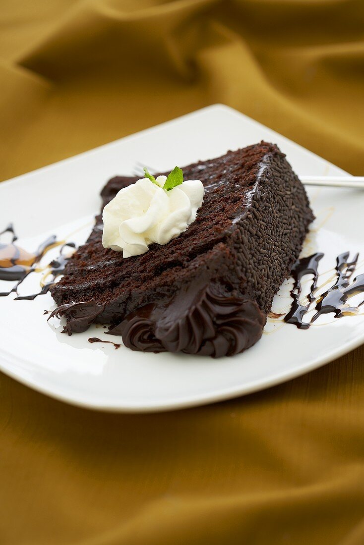 Slice of Chocolate Layer Cake with Chocolate Fudge Frosting; White Plate