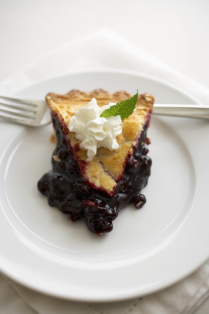 Slice of Blueberry Pie on a White Plate; Fork