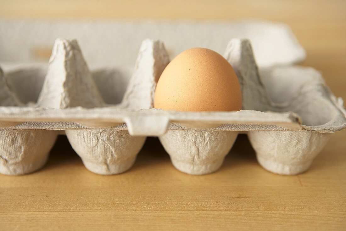 Ein braunes Ei in einem Eierkarton