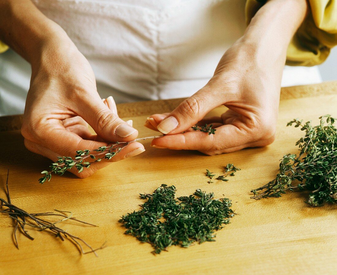 Hands Removing Thyme Leaves From Stems