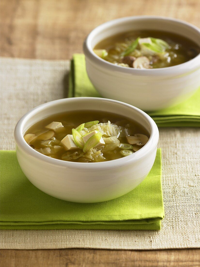 Two Bowls of Tofu Mushroom Soup