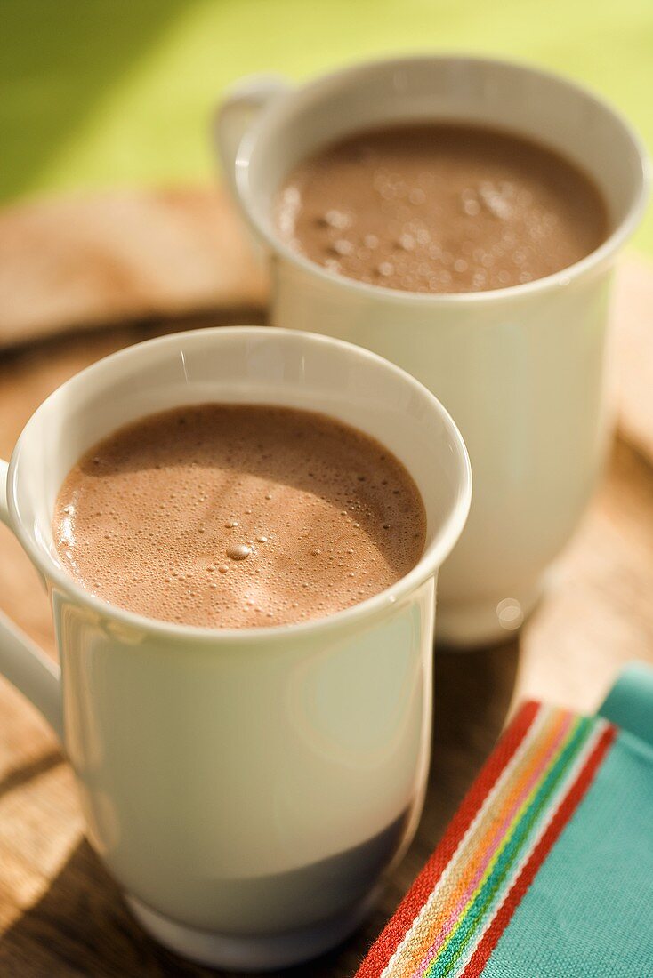 Two Mugs of Hot Chocolate