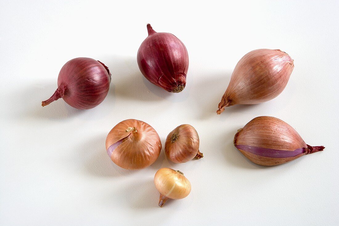 Various Onions on a White Background