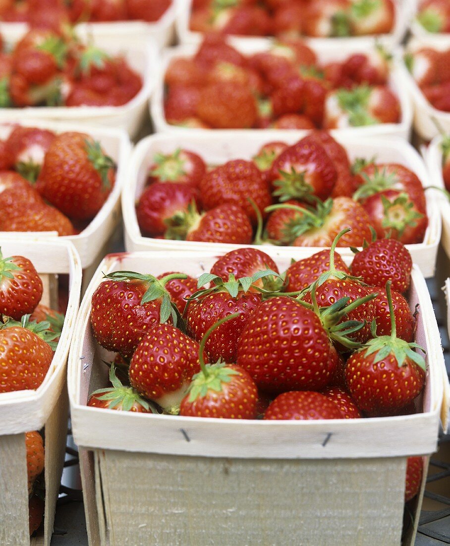 Frische Erdbeeren in Spankörben