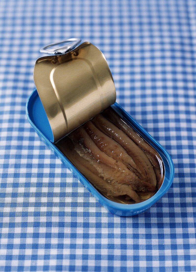 Opened Tin of Anchovies on a Blue and White Checkered Background
