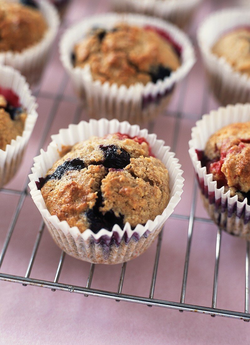 Heidelbeermuffins in Papierförmchen auf Kuchengitter