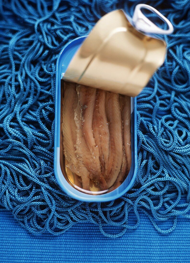 Opened Tin of Anchovies on Blue; From Above