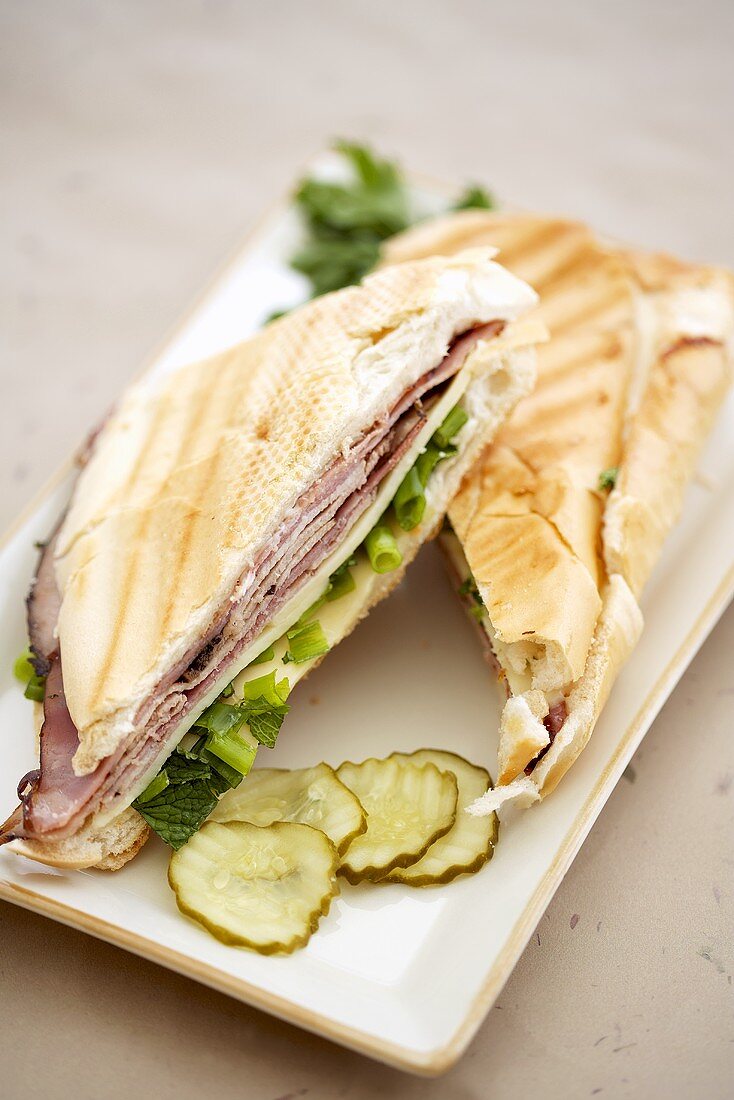 Toasted Ham and Cheese Panini with Pickles