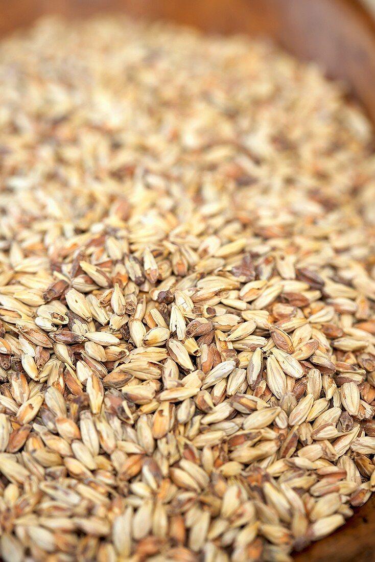 Victory Barley Beer Malt, Close Up